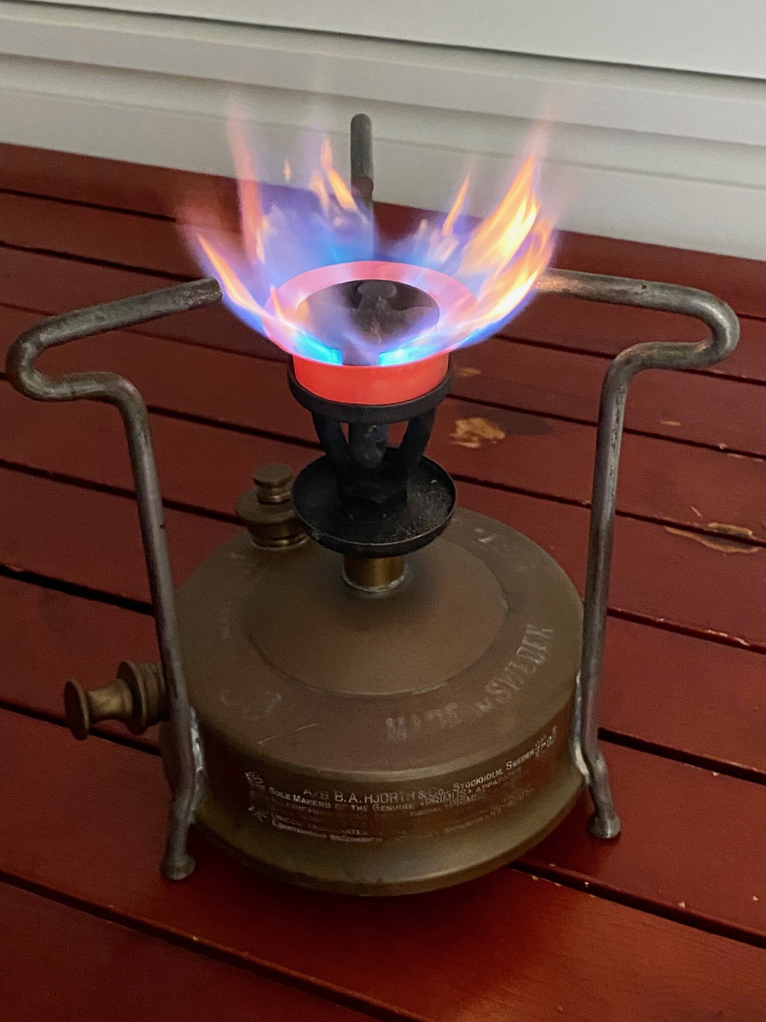 100.jpg