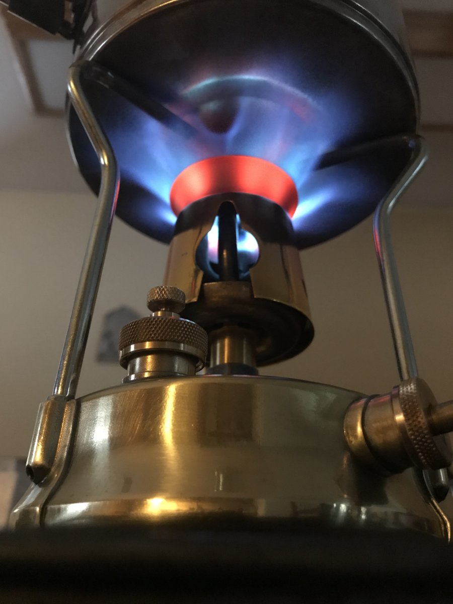 20190302_221017074_iOS.jpg