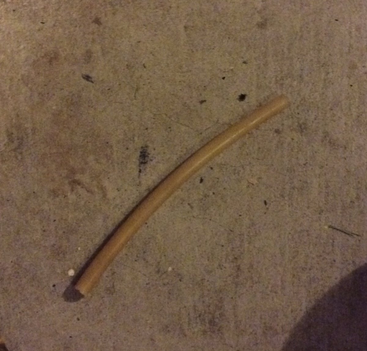 image.jpeg