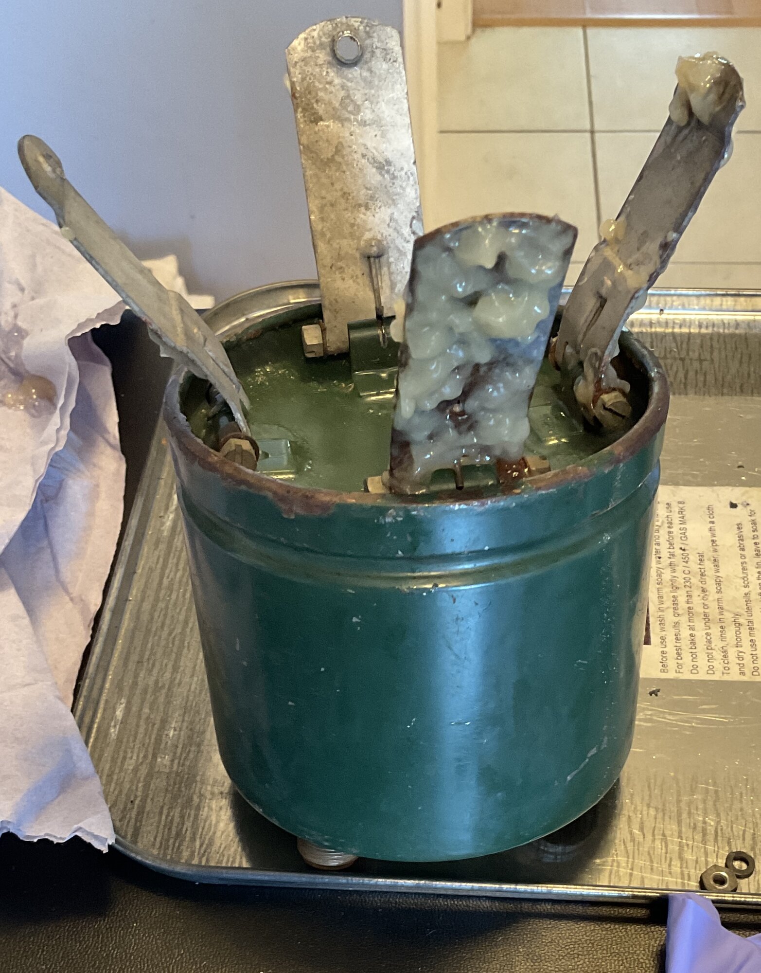 IMG_0237.jpeg