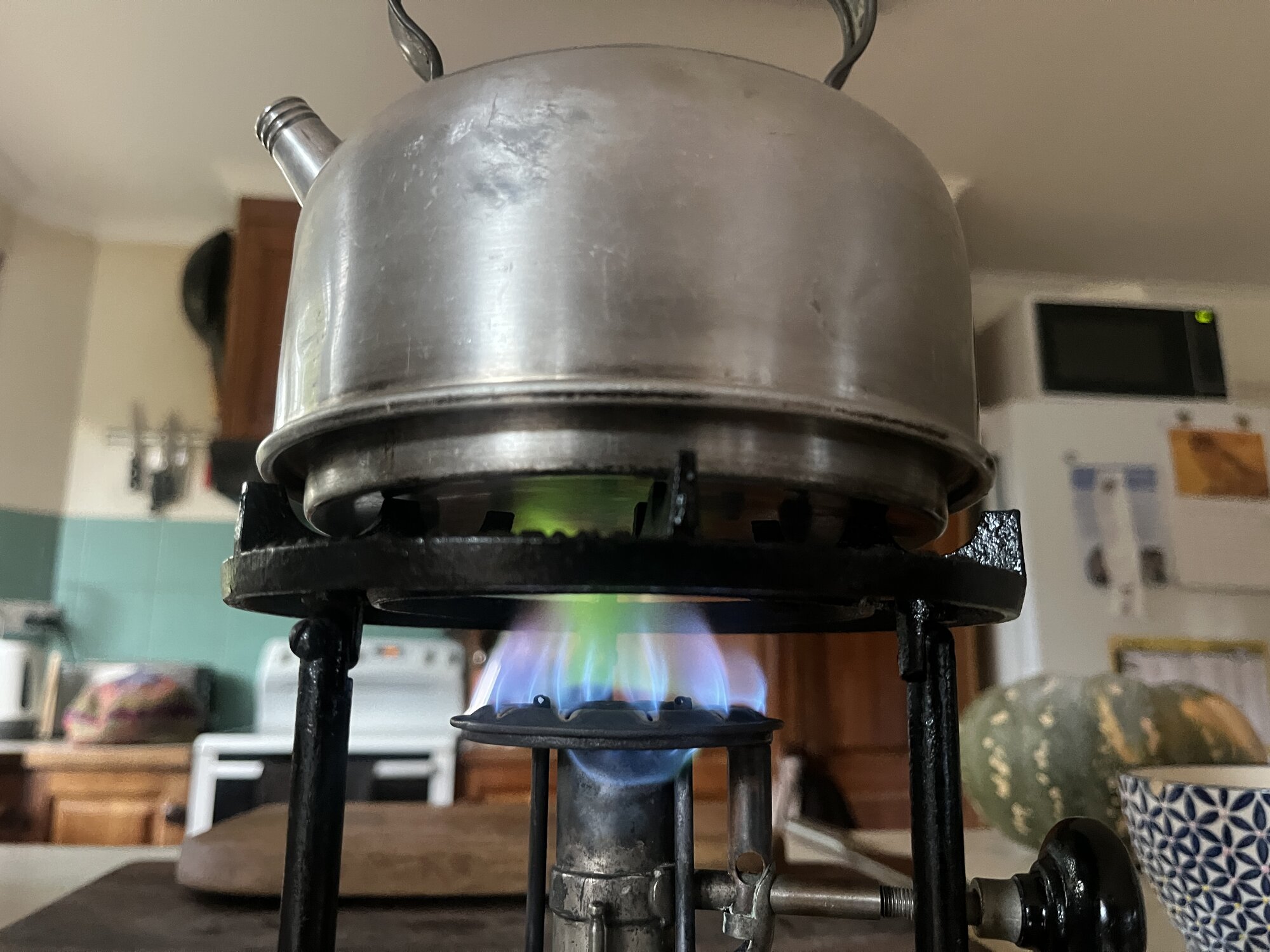 IMG_0310.jpeg