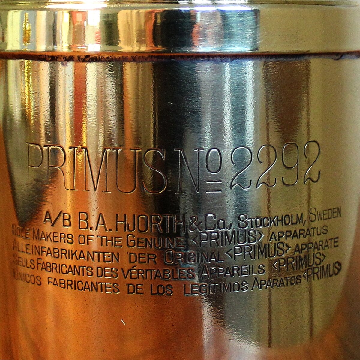 IMG_20201113_133018.jpg