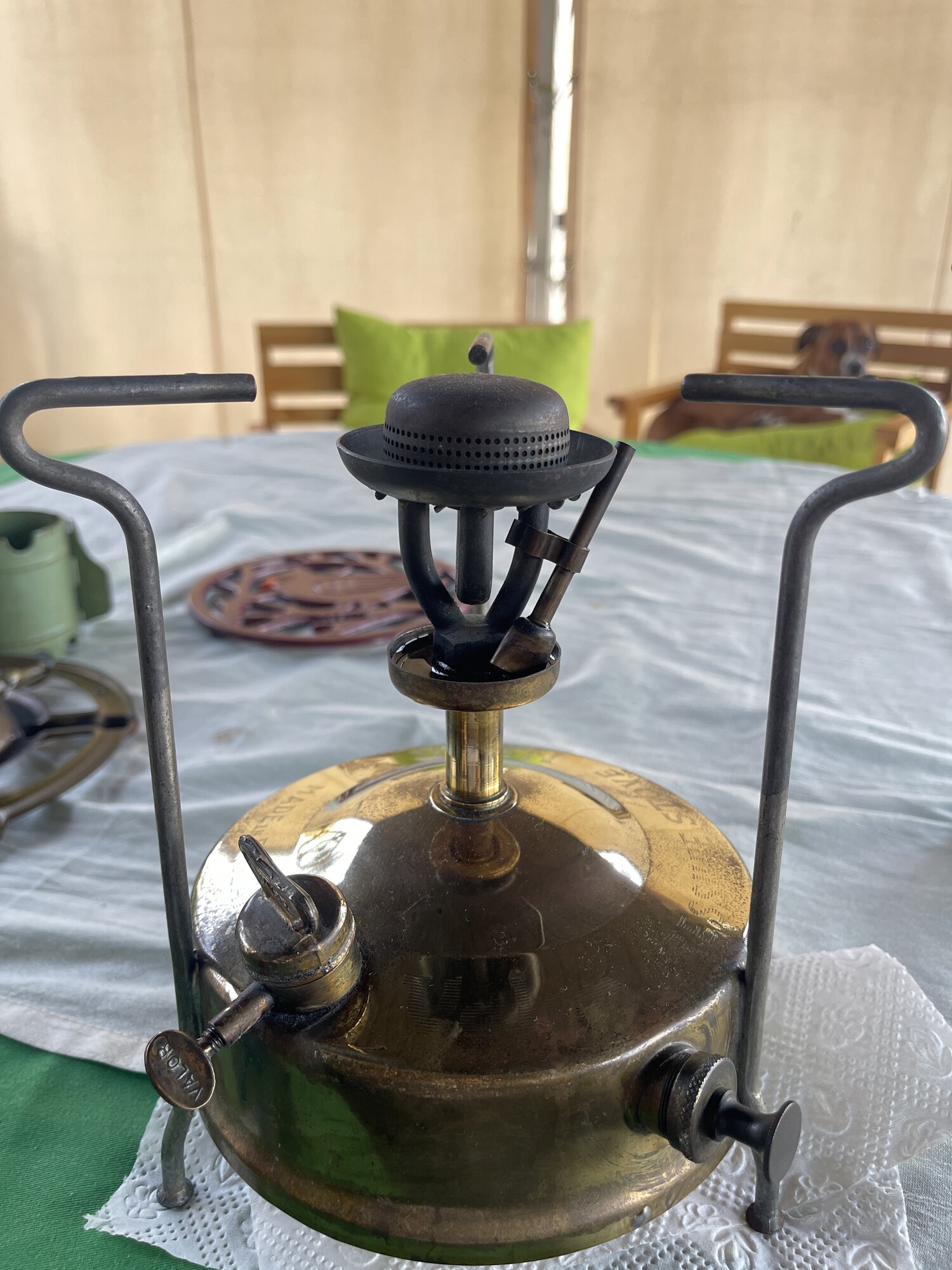 IMG_2351.jpeg