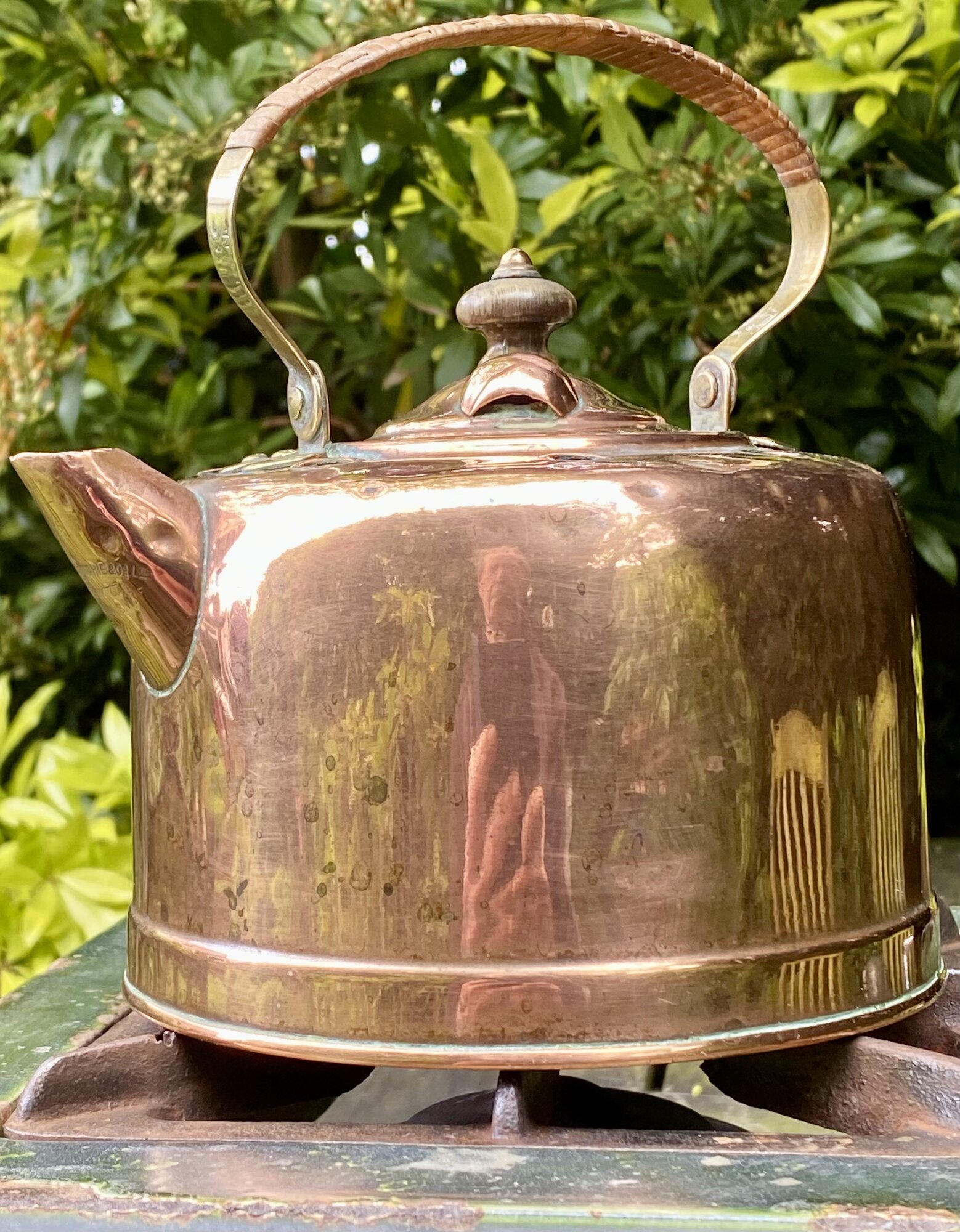 IMG_5466.jpeg