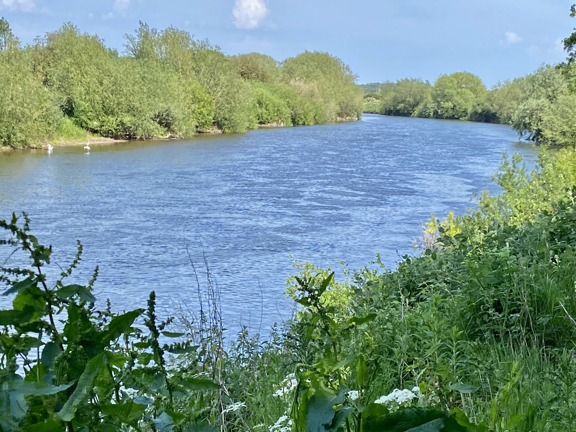 IMG_5552.jpeg
