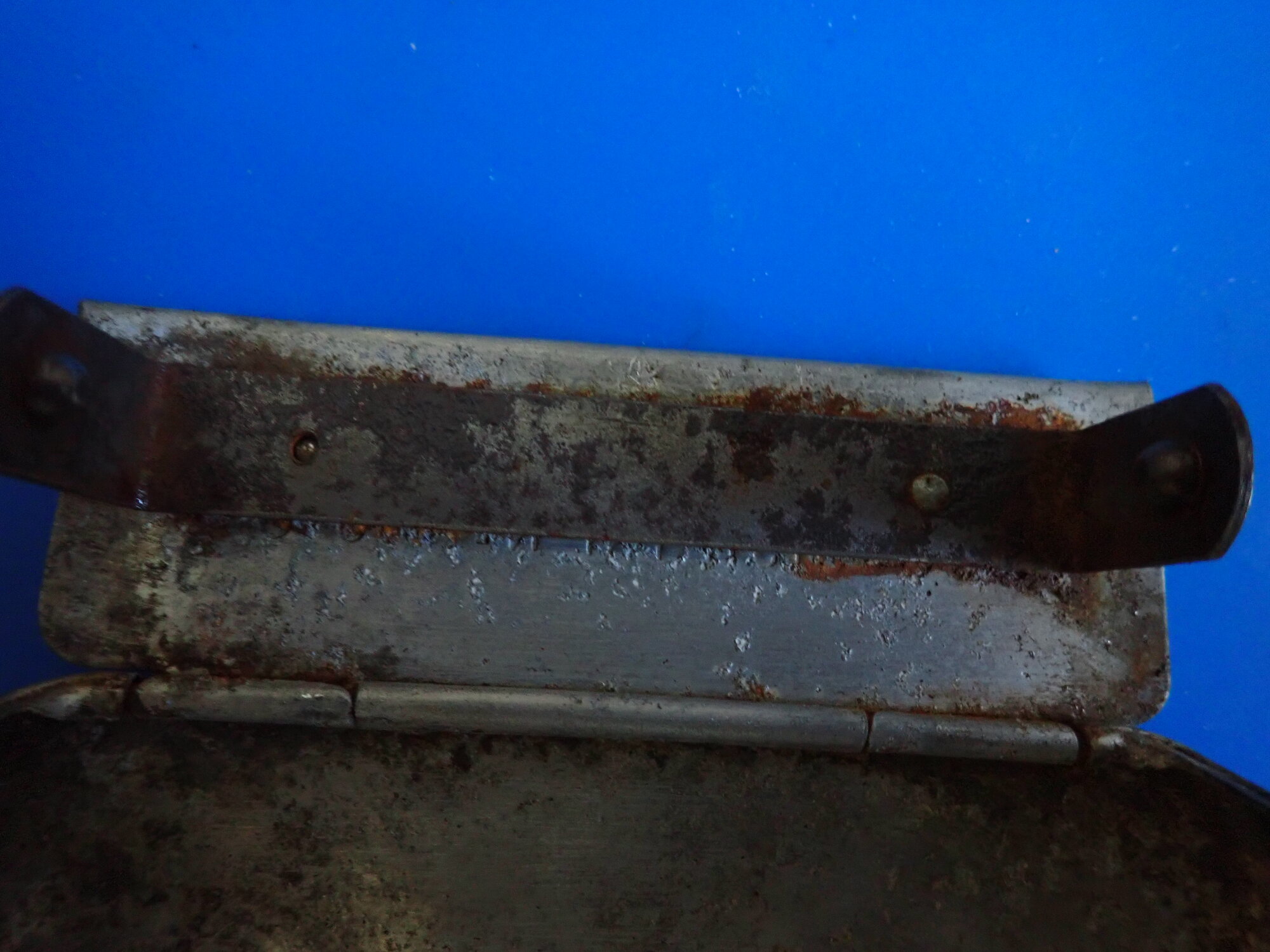 P1070015.JPG