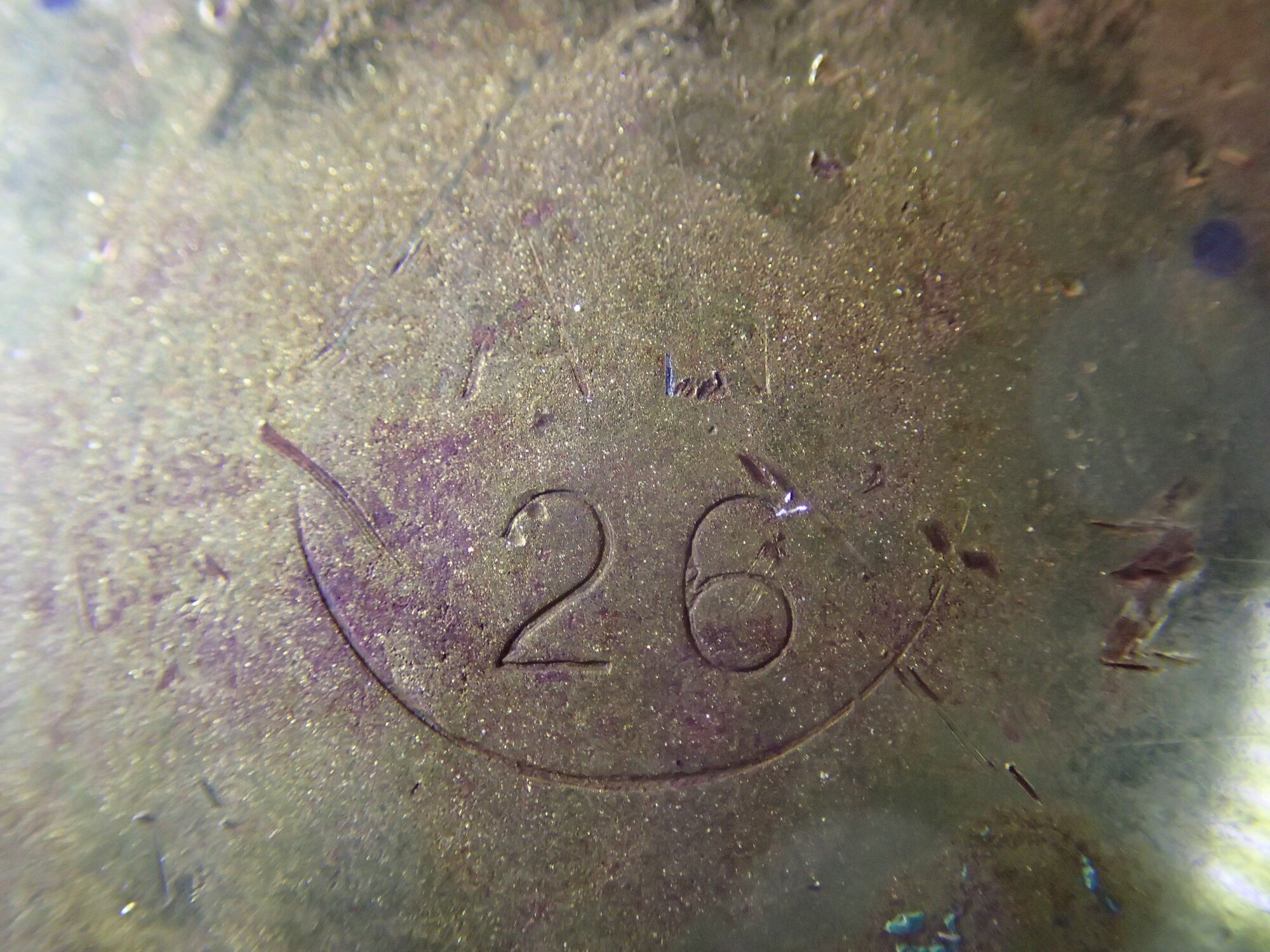 P5225868.JPG