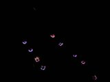 th_DSCN2147.jpg
