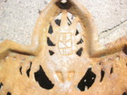 1431634951-IMG_0786.JPG