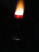 1241472347-IMGP0311.jpg
