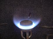 1231804756-IMGP8691.jpg