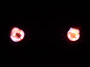 DSCN0467.jpg