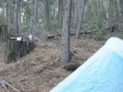 DSCN2718.jpg