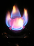 DSCN0498.jpg