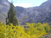 Canyon.jpg