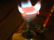 DSCN2681.jpg
