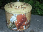 DSCN2496.jpg