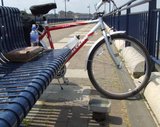 th_bikeride2.jpg
