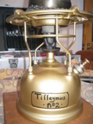 tilleymus2.jpg