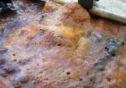 Pic18.jpg