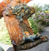 Pic01.jpg