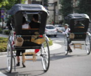 Pic13.jpg