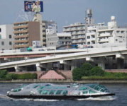 Pic15.jpg
