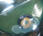 Pic1.jpg