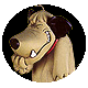 muttlaugh.gif