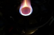 DSC04209.JPG