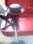 IMG_20170226_091336.jpg