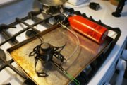 DSC02883.JPG