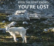 goat.JPG