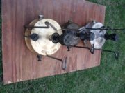 DSCF8832.JPG