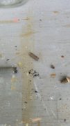 20180506_100854_resized.jpg
