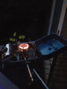 20180727_222821.jpg