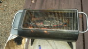 Pic2.jpg