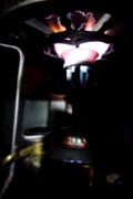 DSC03552.JPG