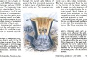Annotation 2019-02-04 155724.jpg