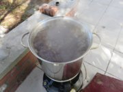 IMG_3514__1555272177_54533.jpg