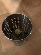 Svea 123 in cutlery can.JPG