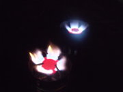 DSCF9192.JPG