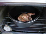 Game hen - 1.jpg