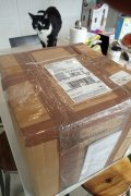 Box.JPG