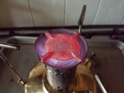 20200609_132100.jpg