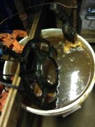 1399526822-2014-05-04_17.41_primus___5_grate_emerging.jpg