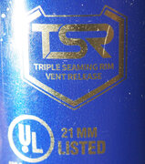 TSR type safety system.jpg
