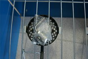 bernzomatic valve.jpg