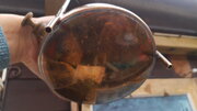 IMG_20201015_183654313.jpg
