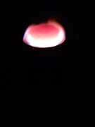 IMG_20210130_134327.jpg